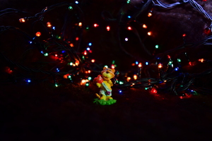 Image-preview_300x200