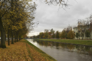 Image-preview_300x200