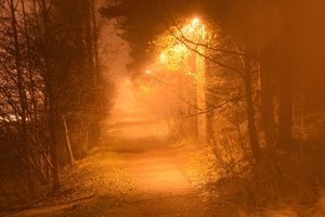 Image-preview_300x200