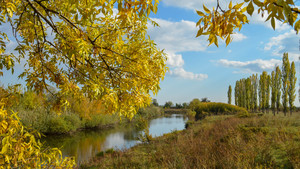 Image-preview_300x200