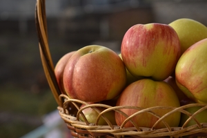 Image-preview_300x200