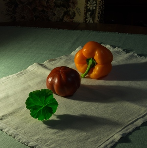 Image-preview_300x200