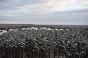 Image-preview_300x200