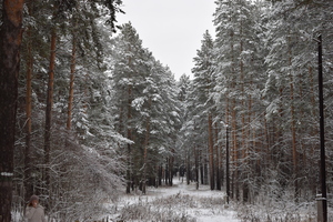 Image-preview_300x200