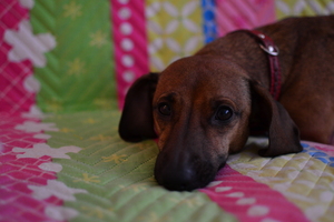 Image-preview_300x200