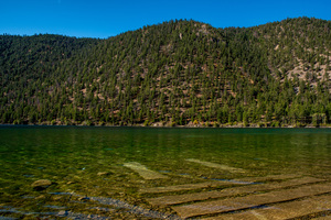 Image-preview_300x200