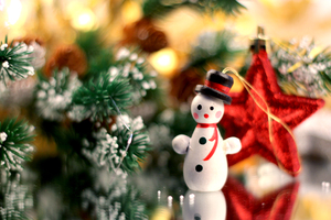 Image-preview_300x200