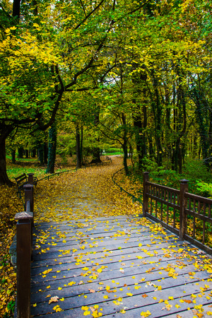 Image-preview_300x200