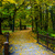 Image-square_50
