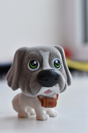 Image-preview_300x200