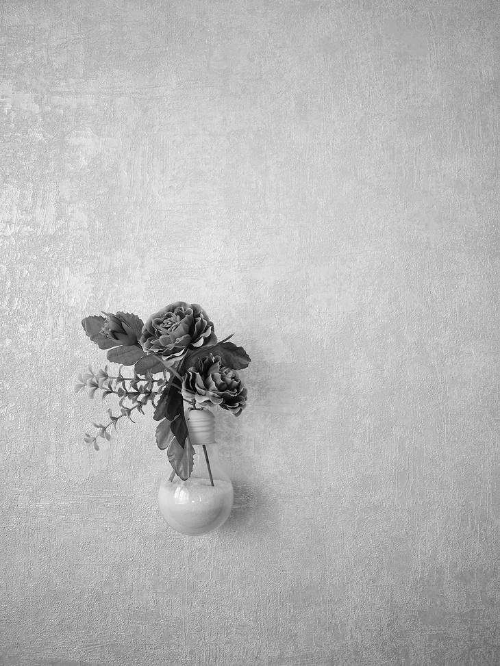 Image-normal