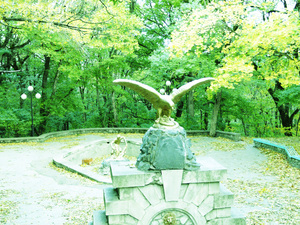 Image-preview_300x200