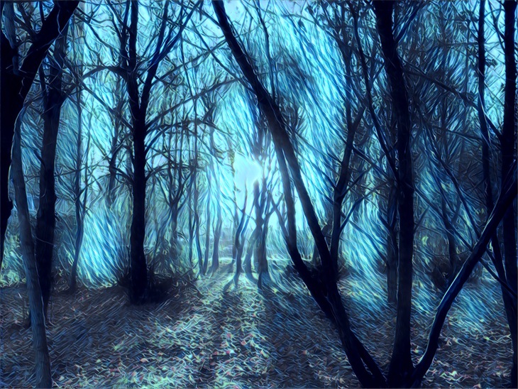 Image-normal