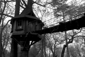 Image-preview_300x200