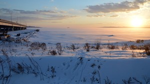 Image-preview_300x200