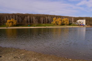 Image-preview_300x200