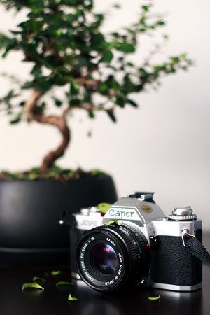 Image-preview_300x200