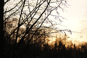 Image-preview_300x200