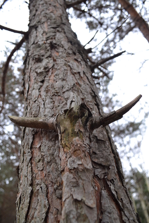 Image-preview_300x200