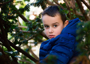 Image-preview_300x200