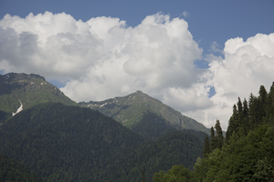 Image-preview_300x200