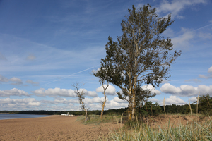 Image-preview_300x200