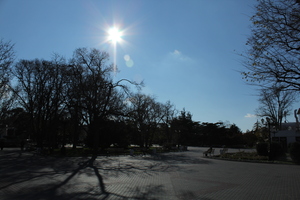 Image-preview_300x200