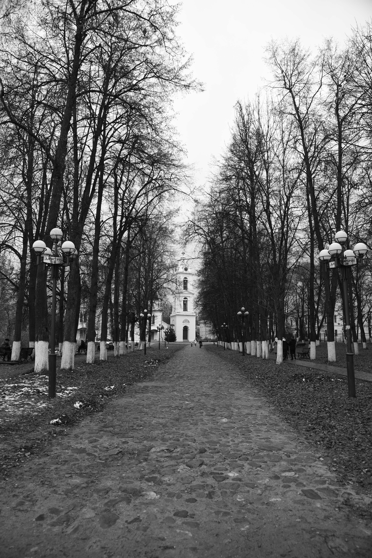 Image-normal