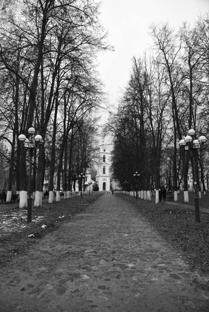 Image-preview_300x200