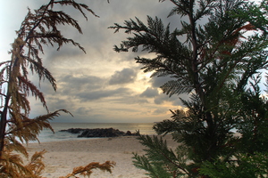 Image-preview_300x200