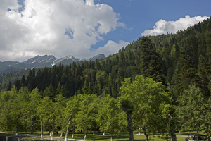 Image-preview_300x200