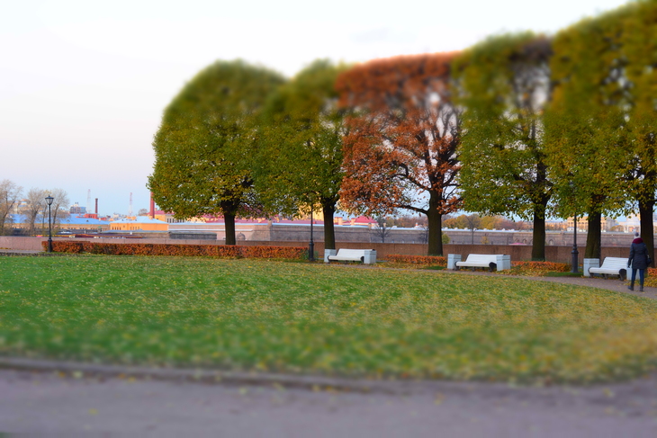 Image-normal