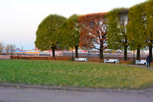 Image-preview_300x200