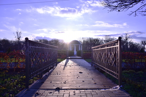 Image-preview_300x200