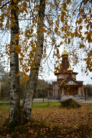 Image-preview_300x200