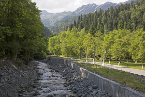 Image-preview_300x200