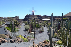 Image-preview_300x200