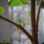 Image-square_50