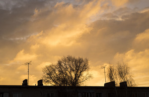 Image-preview_300x200