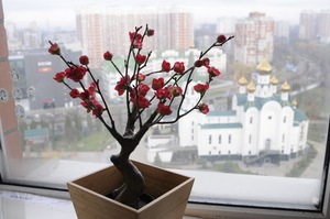 Image-preview_300x200