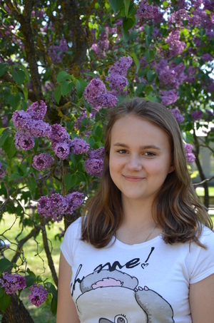 Image-preview_300x200