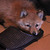 Image-square_50