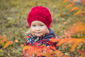 Image-preview_300x200