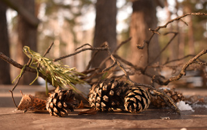 Image-preview_300x200