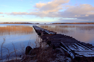 Image-preview_300x200