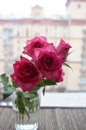 Image-preview_300x200