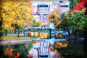 Image-preview_300x200