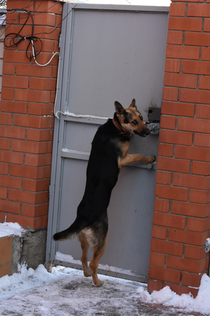 Image-preview_300x200