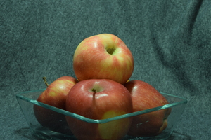 Image-preview_300x200