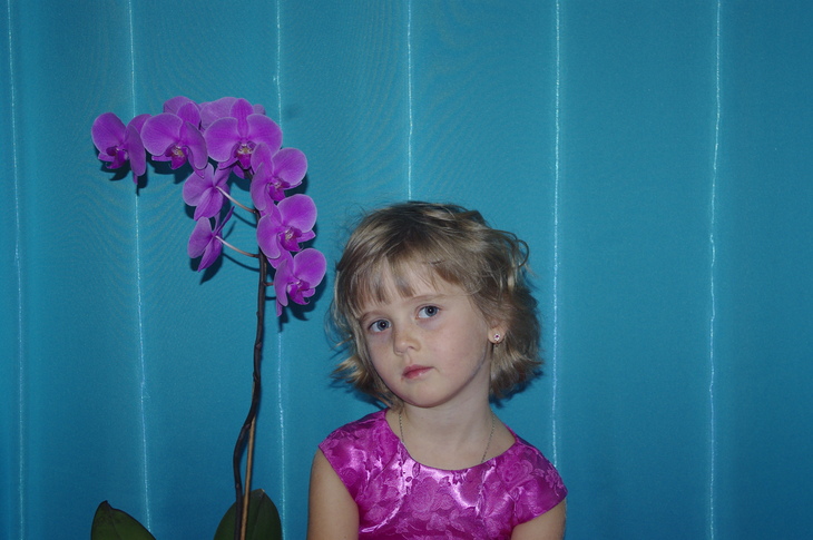 Image-normal